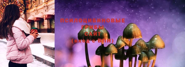 первитин Горнозаводск