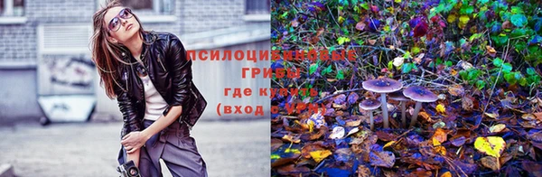 первитин Горнозаводск
