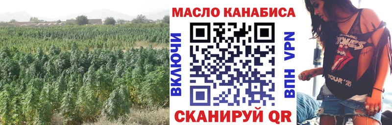 Дистиллят ТГК THC oil  Купить закладки  Кириллов 